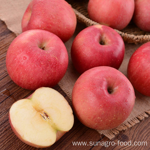 Red Star Apple For Export